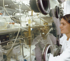 Alpha facility and laboratory for transuranian elements analysis and reprocessing studies - Marcoule &copy;&nbsp;CEA/T.Foulon