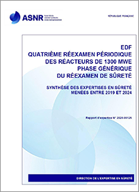 Synthèse des expertises - VD4 1300 MWe